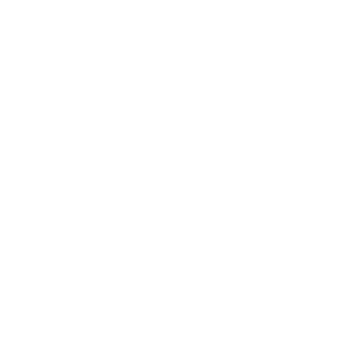 Pilot Project